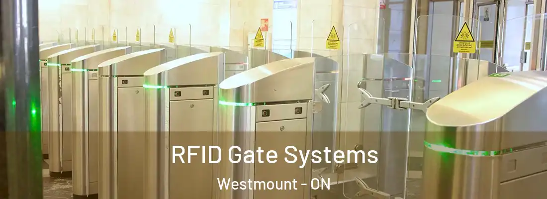  RFID Gate Systems Westmount - ON