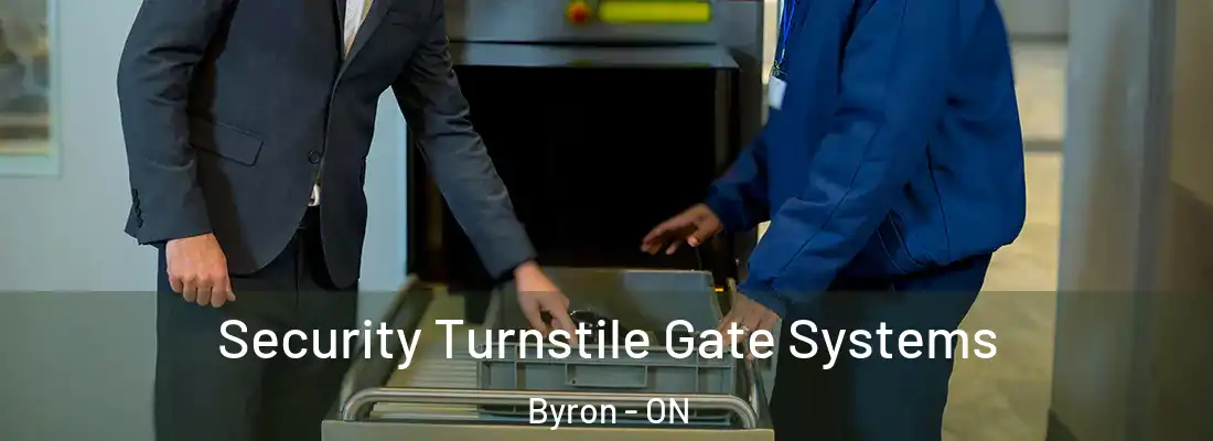  Security Turnstile Gate Systems Byron - ON