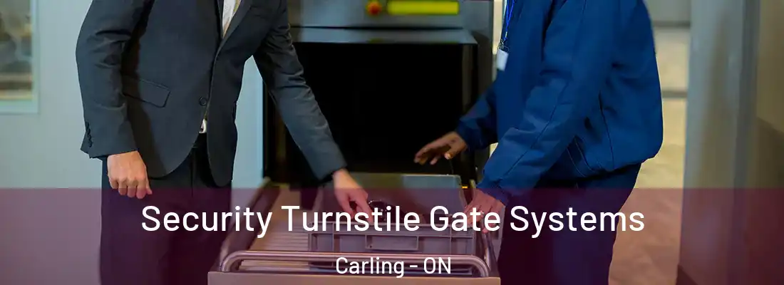 Security Turnstile Gate Systems Carling - ON