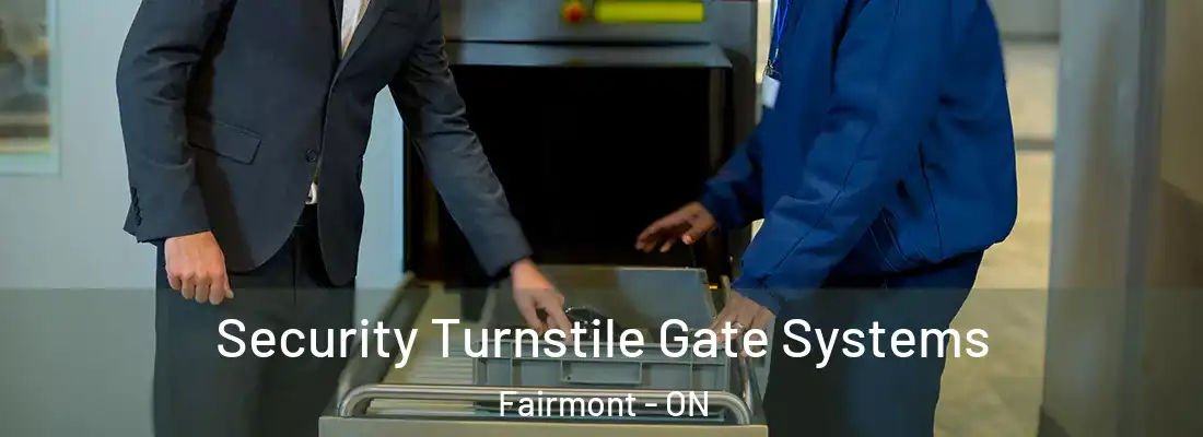  Security Turnstile Gate Systems Fairmont - ON
