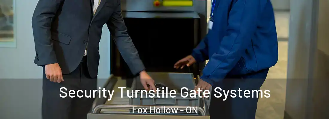  Security Turnstile Gate Systems Fox Hollow - ON