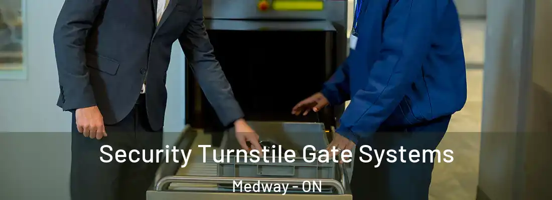  Security Turnstile Gate Systems Medway - ON