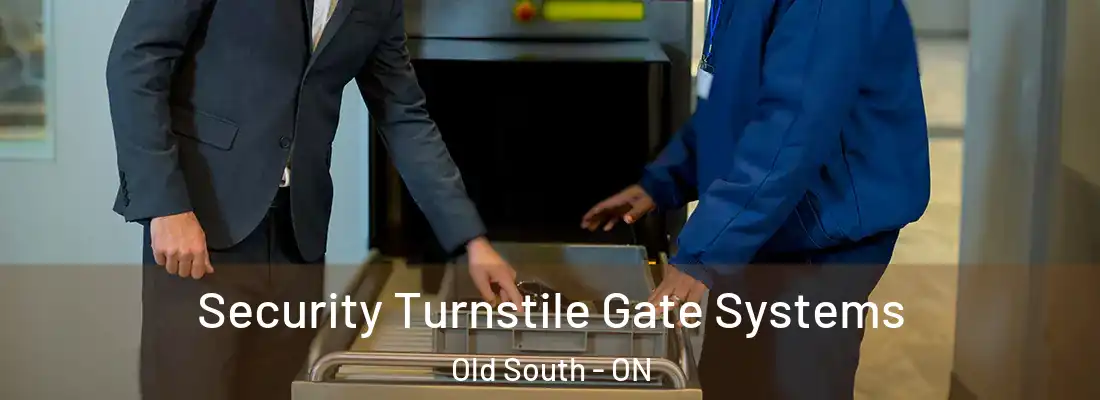  Security Turnstile Gate Systems Old South - ON