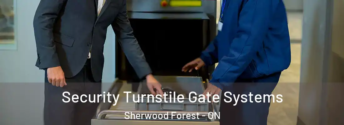  Security Turnstile Gate Systems Sherwood Forest - ON