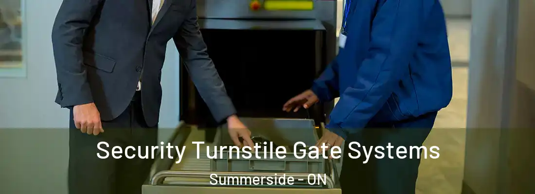  Security Turnstile Gate Systems Summerside - ON