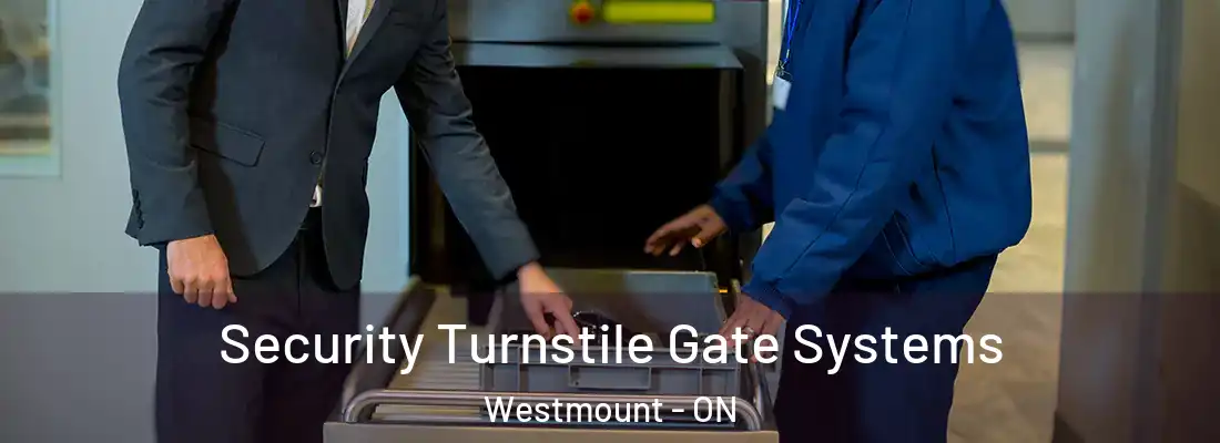  Security Turnstile Gate Systems Westmount - ON