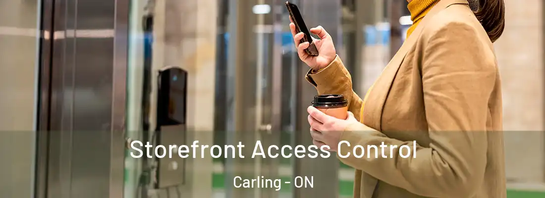 Storefront Access Control Carling - ON