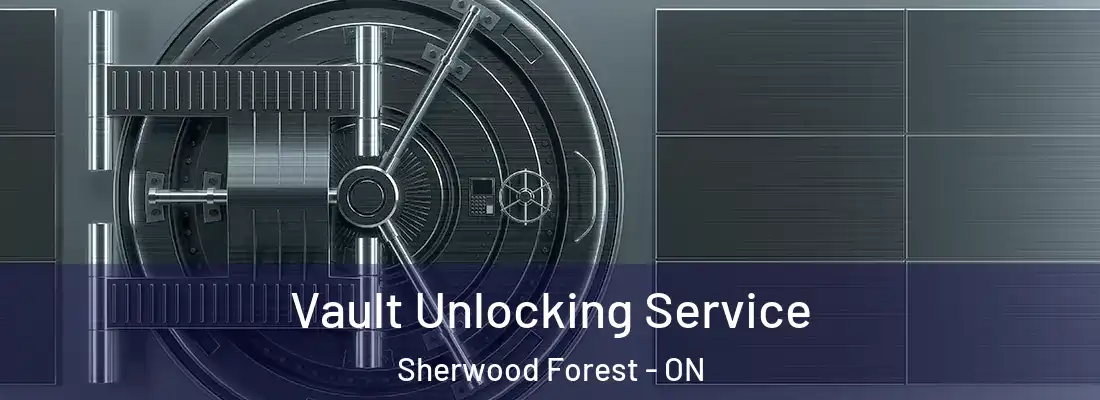  Vault Unlocking Service Sherwood Forest - ON