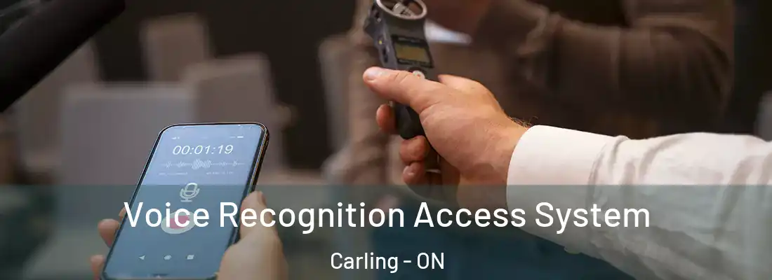  Voice Recognition Access System Carling - ON